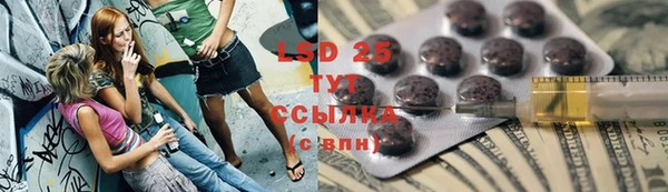 трава Наволоки
