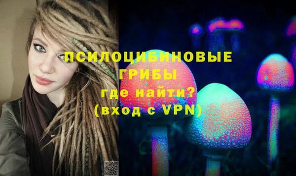 бошки Михайловск