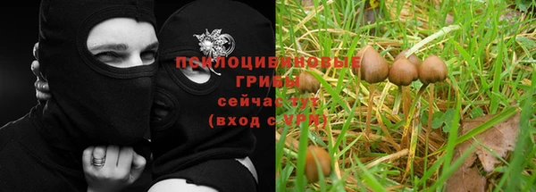 альфа пвп Ельня