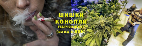 spice Надым