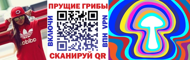 Галлюциногенные грибы GOLDEN TEACHER  наркота  Жирновск 