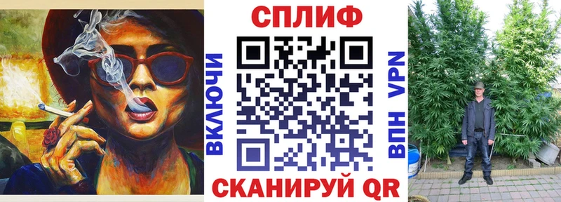 магазин продажи   Жирновск  KRAKEN сайт  Шишки марихуана OG Kush 